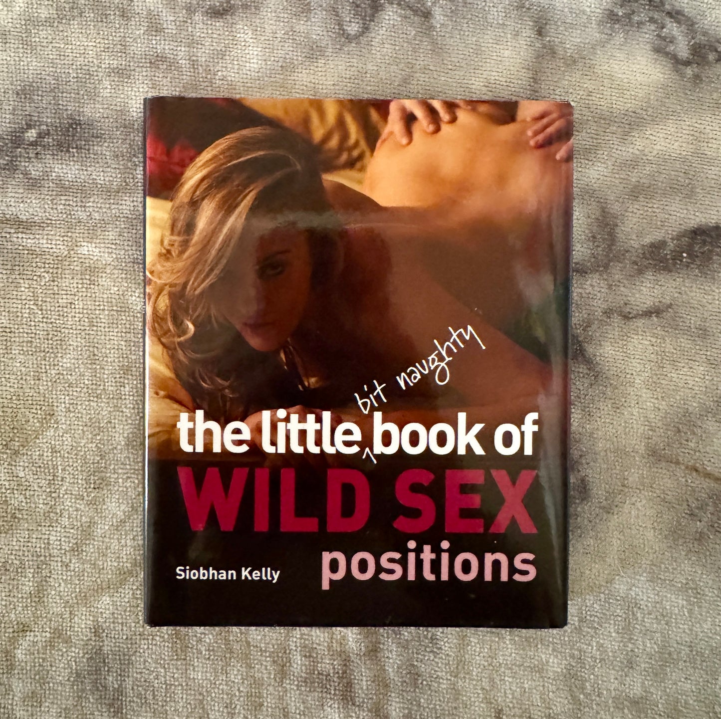 The Little Book of Wild Sex Positions
