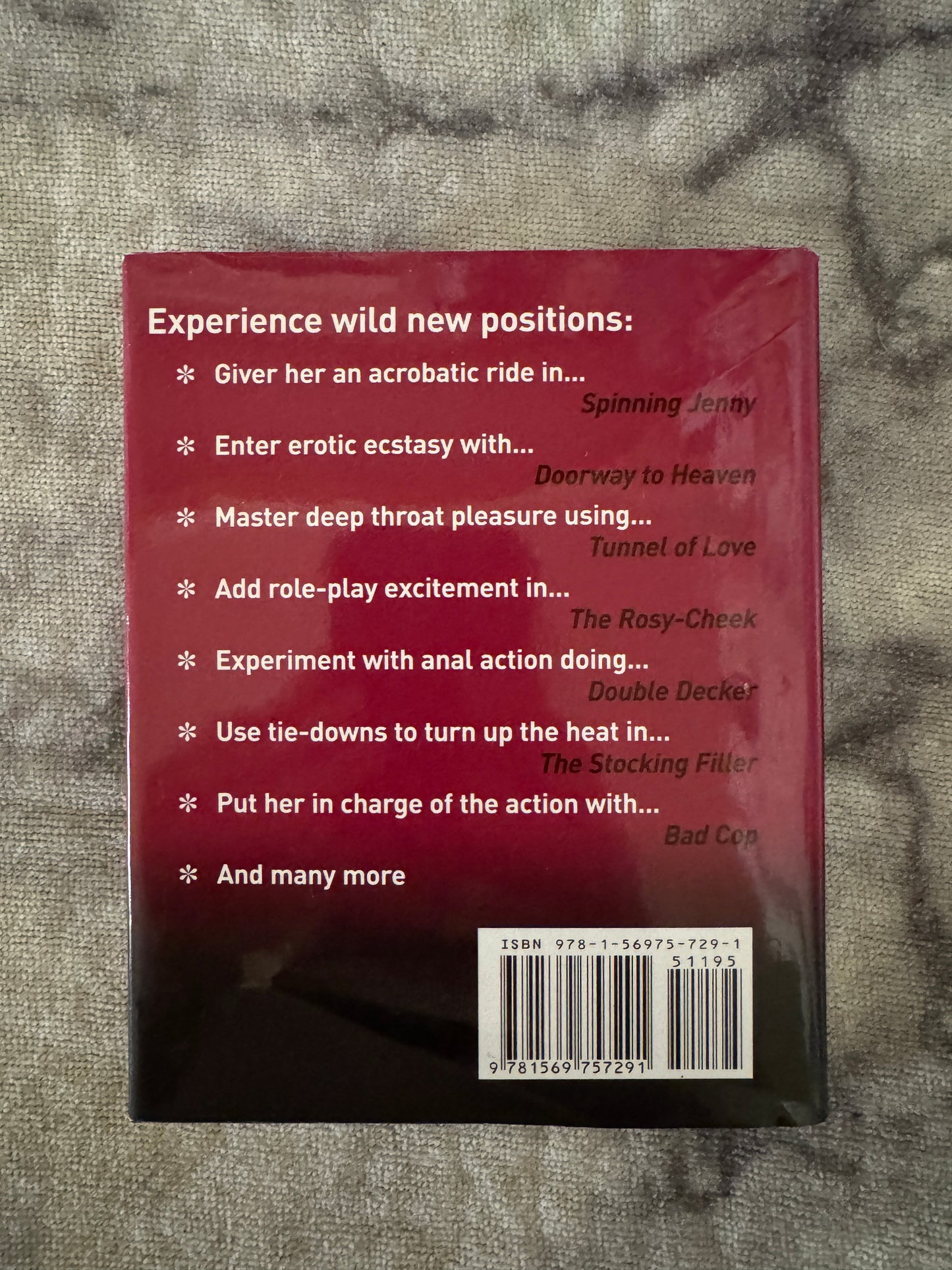 The Little Book of Wild Sex Positions